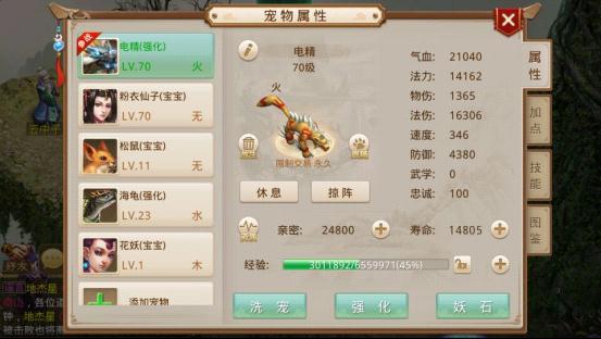 《问道》手游宠物强化攻略